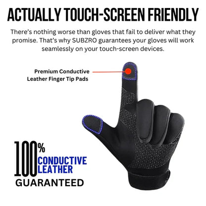 🔥Christmas Special Price ❄️2026 Winter Thermal Waterproof Screen-touchable Gloves💥